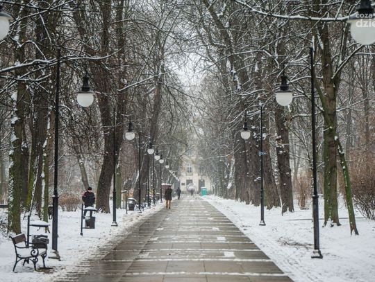 Biała zima zajrzała do Radomia (zdjęcia)