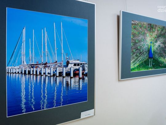 Wernisaż "Piękno jest wszędzie" Barbary Polakowskiej i Teresy Okrój (zdjęcia)