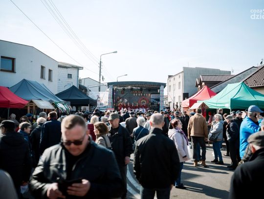 Wstępy 2025 - Aleja Twórców Ludowych i pokazy koni (zdjęcia)