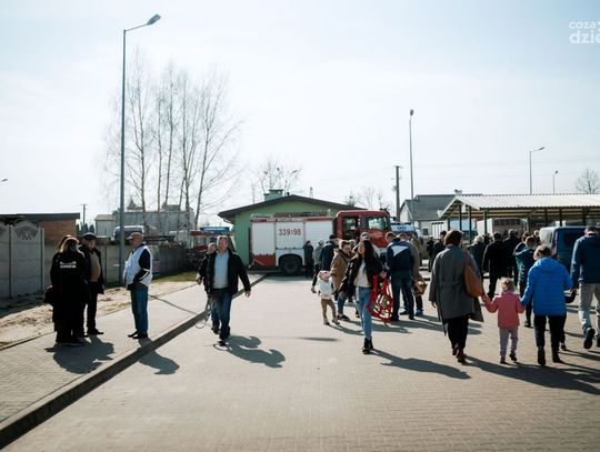 Wstępy 2025 - prezentacja koni (zdjęcia)