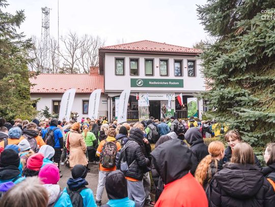 Wspólne sadzenie lasu (zdjęcia)