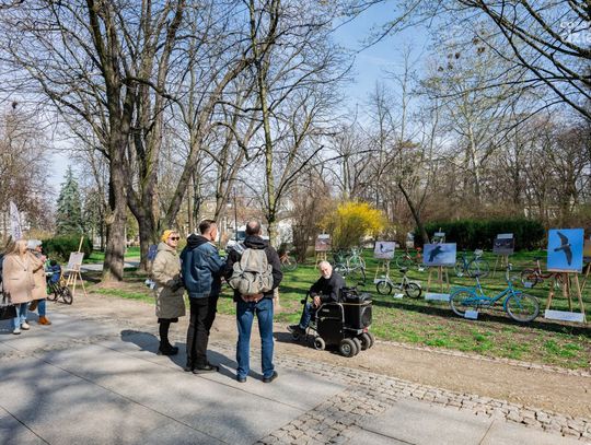 Ptasia wystawa rowerowa z Mobilnym Muzeum Rowerów (zdjęcia)