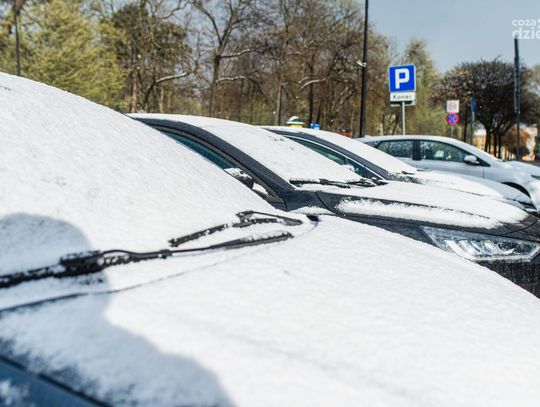 Śnieg wrócił do Radomia (zdjęcia)