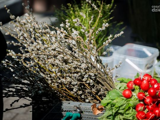 KOREJ - wielkanocne zakupy (zdjęcia)