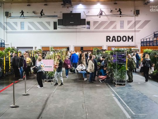 Festiwal Roślin w Radomiu (zdjęcia)