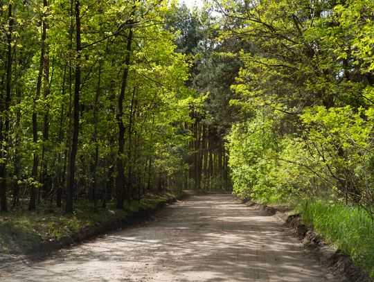 Co Za Jazda Szydłowiec - fotomapa (zdjęcia)
