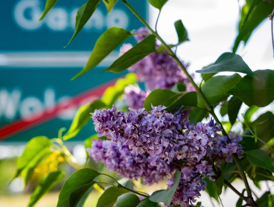 Co Za Jazda Szydłowiec - fotomapa (zdjęcia)