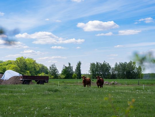Co Za Jazda Szydłowiec - fotomapa (zdjęcia)