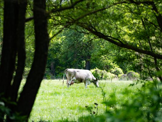 Co Za Jazda Szydłowiec - fotomapa (zdjęcia)