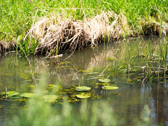 Co Za Jazda Szydłowiec - fotomapa (zdjęcia)