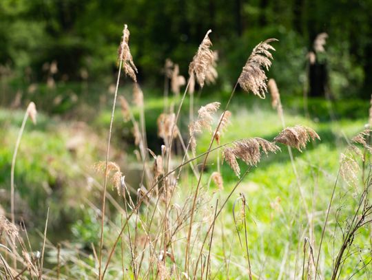 Co Za Jazda Szydłowiec - fotomapa (zdjęcia)