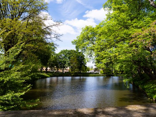 Co Za Jazda Szydłowiec - fotomapa (zdjęcia)