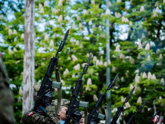 Obchody Narodowego Dnia Zwycięstwa (zdjęcia)