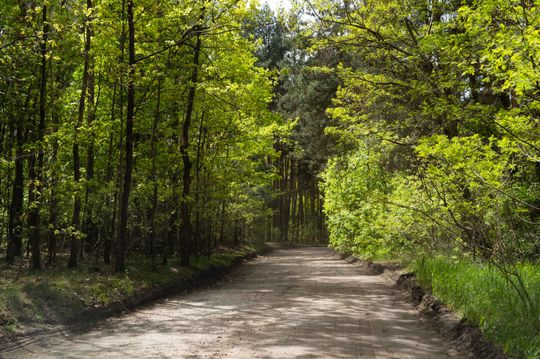 Co Za Jazda Szydłowiec - fotomapa (zdjęcia)