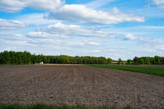 Co Za Jazda Szydłowiec - fotomapa (zdjęcia)