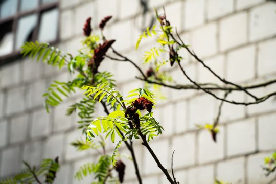 Co Za Jazda Szydłowiec - fotomapa (zdjęcia)