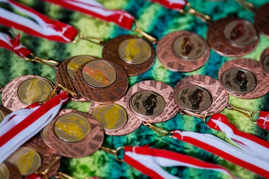 "Wiosna Radosna" w PSP 13 (zdjęcia)