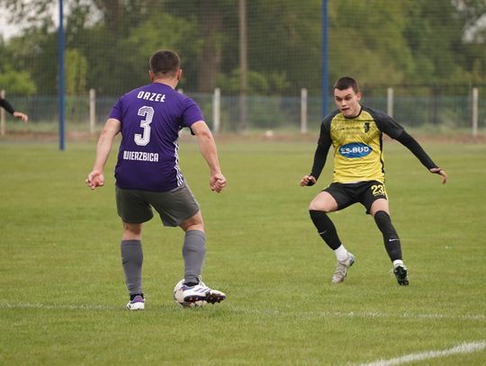 Orzeł Wierzbica - Młodzik Radom (zdjęcia)