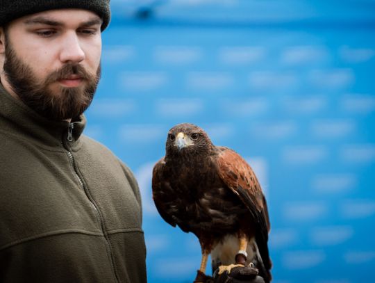 Piknik historyczny w 520. rocznicę uchwalenia konstytucji Nihil novi (zdjęcia)