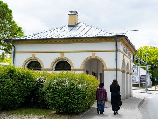 Wernisaż wystawy Jana Wołka "Bez tytułu" w Galerii Rogatka (zdjęcia)