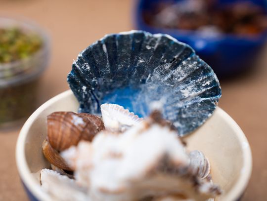 Noc muzeów - Centrum Rzeźby Polskiej w Orońsku (zdjęcia)