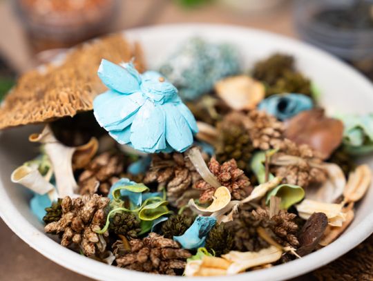 Noc muzeów - Centrum Rzeźby Polskiej w Orońsku (zdjęcia)