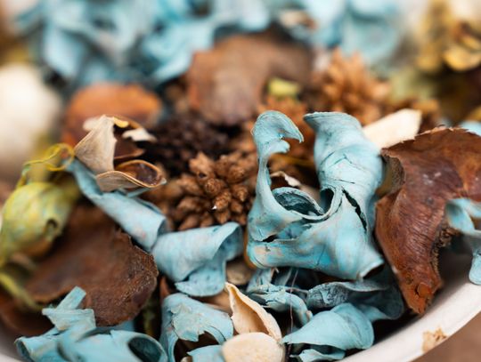 Noc muzeów - Centrum Rzeźby Polskiej w Orońsku (zdjęcia)