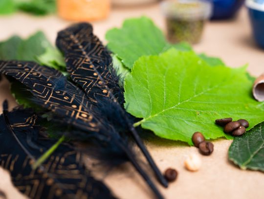 Noc muzeów - Centrum Rzeźby Polskiej w Orońsku (zdjęcia)