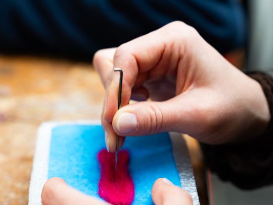 Noc muzeów - Centrum Rzeźby Polskiej w Orońsku (zdjęcia)