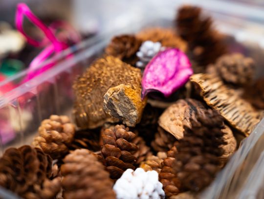 Noc muzeów - Centrum Rzeźby Polskiej w Orońsku (zdjęcia)