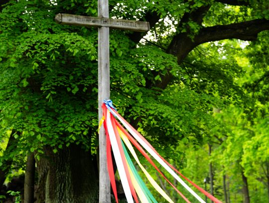 Noc muzeów - Muzeum Wsi Radomskiej (zdjęcia)