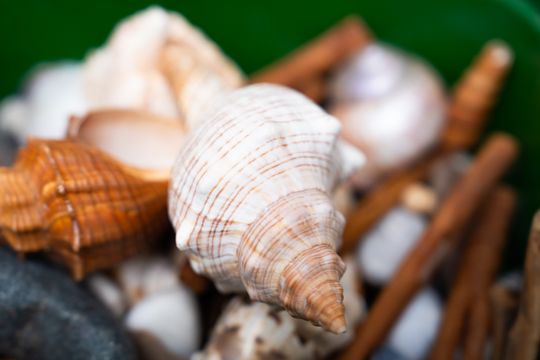 Noc muzeów - Centrum Rzeźby Polskiej w Orońsku (zdjęcia)