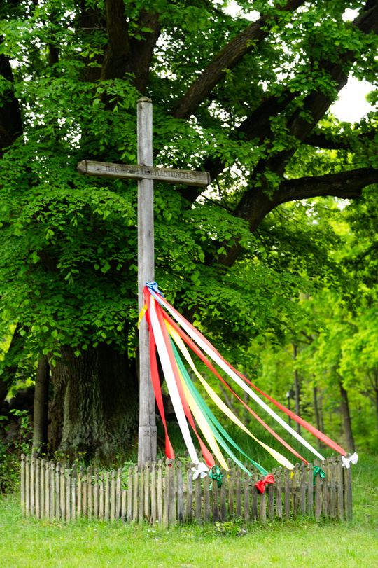 Noc muzeów - Muzeum Wsi Radomskiej (zdjęcia)