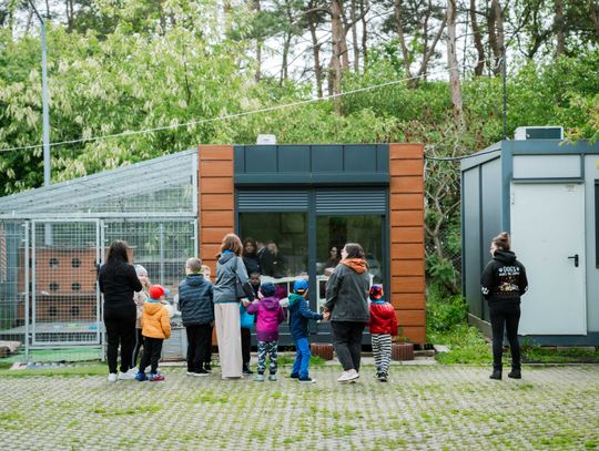 Schronisku dla Bezdomnych Zwierząt - konferencja (zdjęcia)