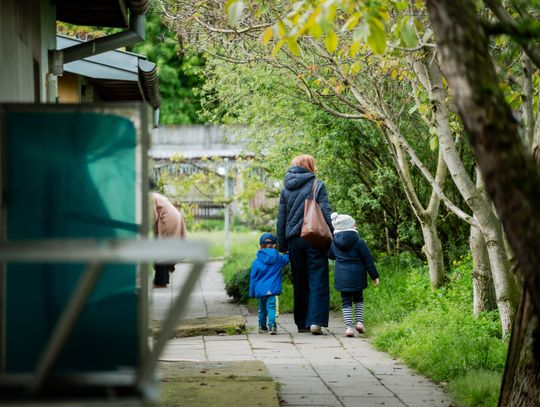 Schronisku dla Bezdomnych Zwierząt - konferencja (zdjęcia)