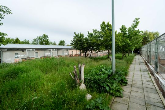 Schronisku dla Bezdomnych Zwierząt - konferencja (zdjęcia)