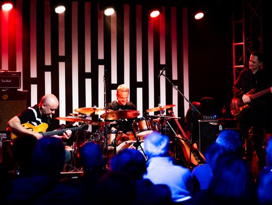 Marek Napiórkowski "Trio KonKubiNap" w Klubie Dzikie Węże (zdjęcia)