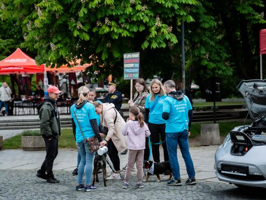 Piknik z okazji Dnia Ochrony Środowiska (zdjęcia)