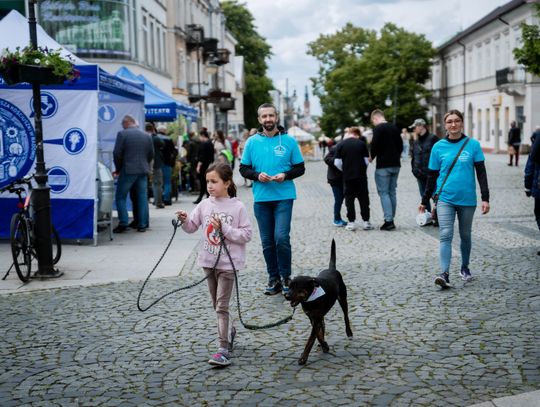 Piknik z okazji Dnia Ochrony Środowiska (zdjęcia)