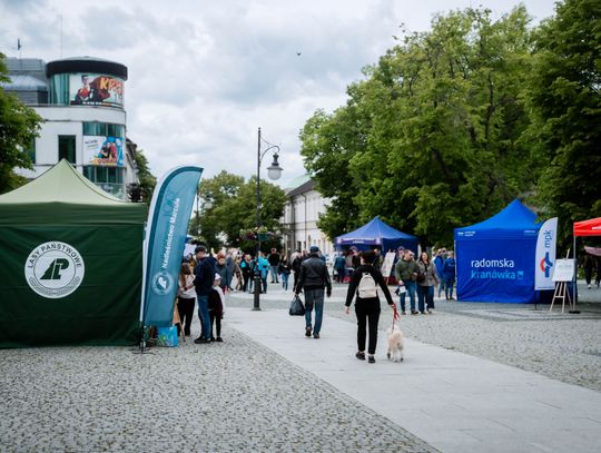 Piknik z okazji Dnia Ochrony Środowiska (zdjęcia)