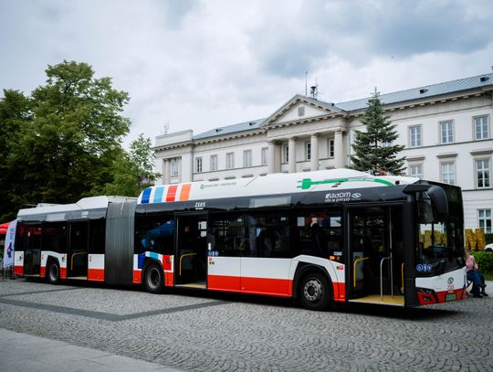 Piknik z okazji Dnia Ochrony Środowiska (zdjęcia)