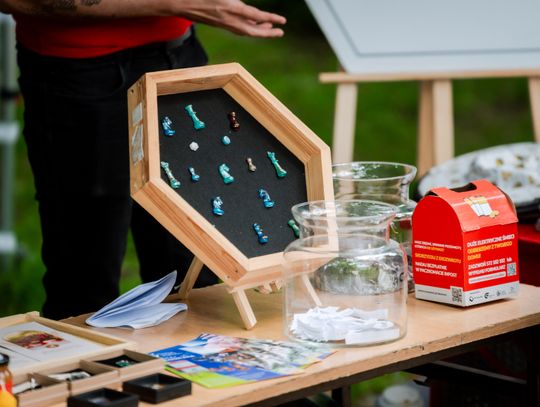 Piknik z okazji Dnia Ochrony Środowiska (zdjęcia)