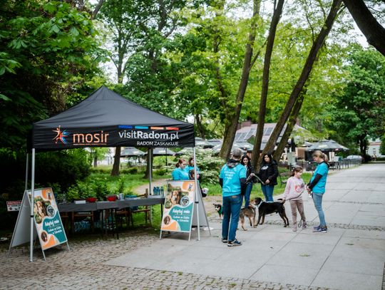 Piknik z okazji Dnia Ochrony Środowiska (zdjęcia)