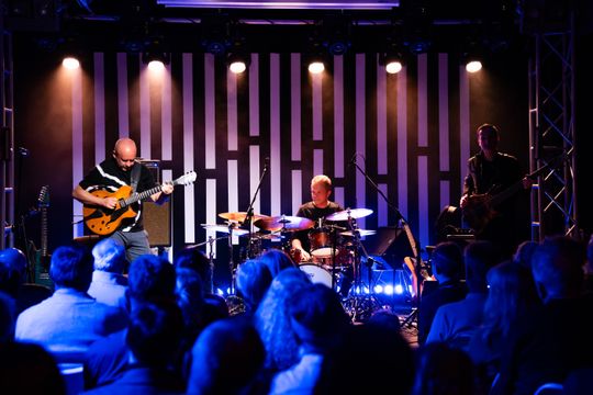 Marek Napiórkowski "Trio KonKubiNap" w Klubie Dzikie Węże (zdjęcia)