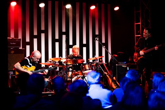 Marek Napiórkowski "Trio KonKubiNap" w Klubie Dzikie Węże (zdjęcia)