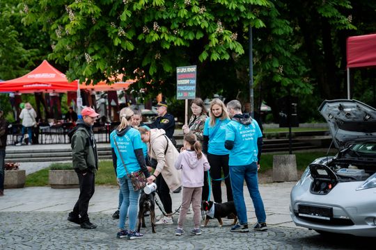 Piknik z okazji Dnia Ochrony Środowiska (zdjęcia) Piknik z okazji Dnia Ochrony Środowiska (zdjęcia)