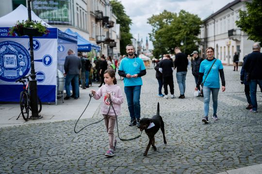Piknik z okazji Dnia Ochrony Środowiska (zdjęcia)