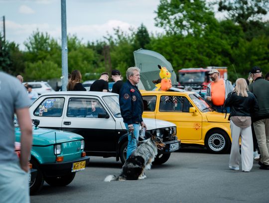Maluchowisko - zlot miłośników Fiata 126p (zdjęcia)