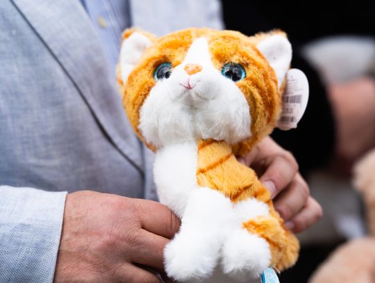 Briefing prasowy dot. przekazania maskotek dla najmłodszych pacjentów pogotowia (zdjęcia)