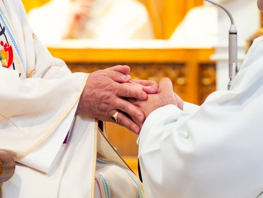 Święcenia kapłańskie w Katedrze (zdjęcia)